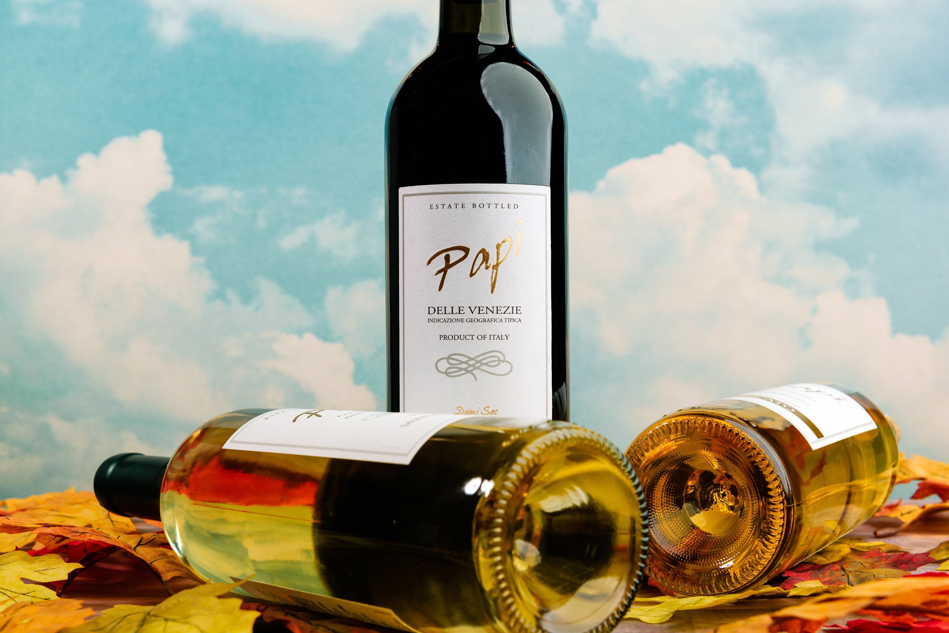 A Guide to Wine Bottle Sizes