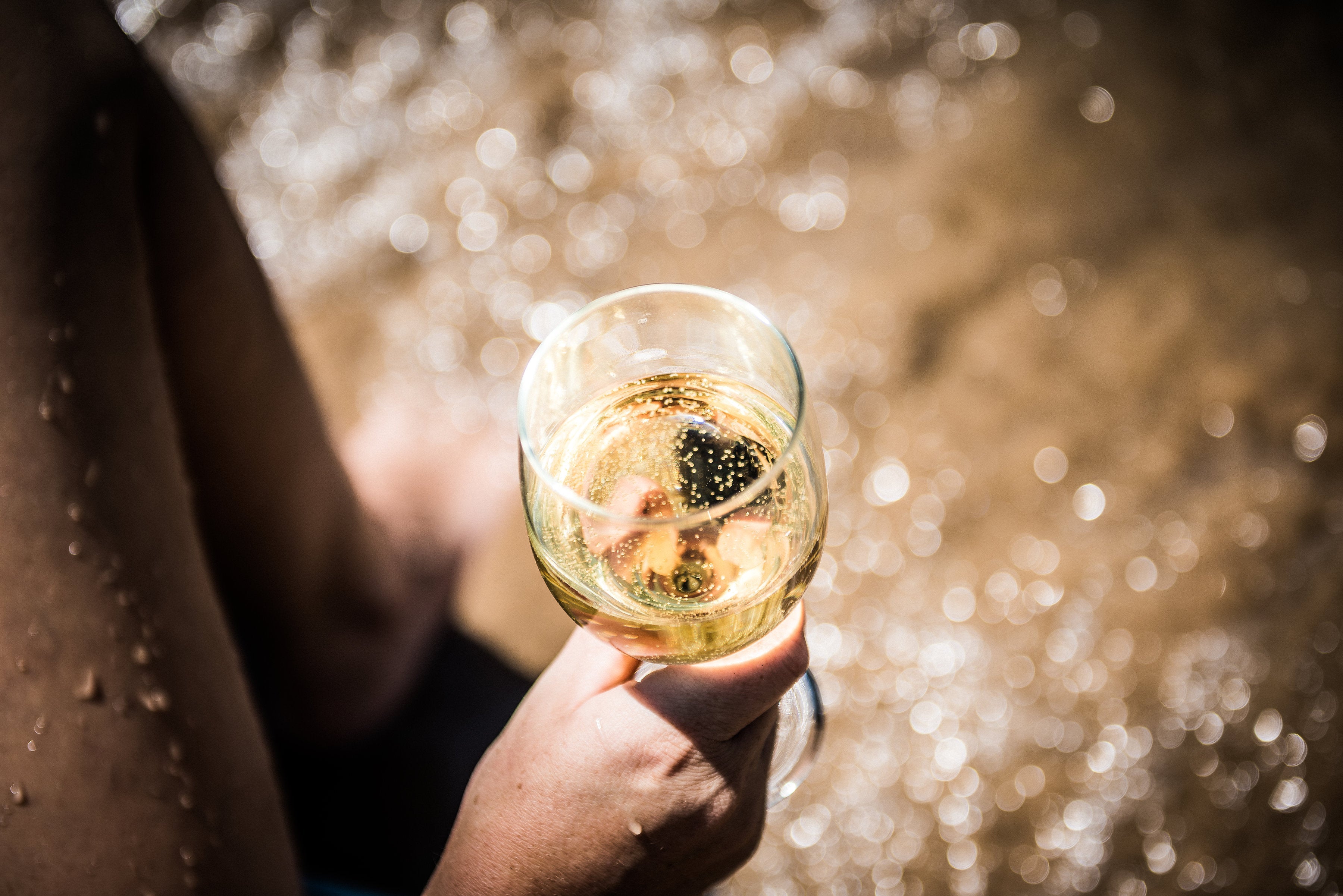 Unlocking the Rich Flavors of Chilean Wine: A Wine Lover's Guide